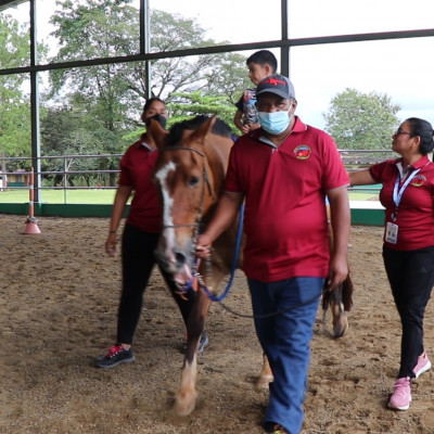 equino-terapi-1722957335.jpg