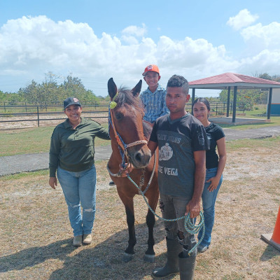 foto-equino-glory-1769632846.jpeg