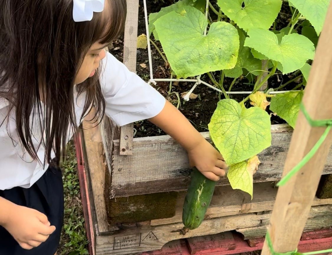 Estudiantes del Aula Especial de la EEE desarrollan el Proyecto Agrícola: ‘Mi Primera Siembra
