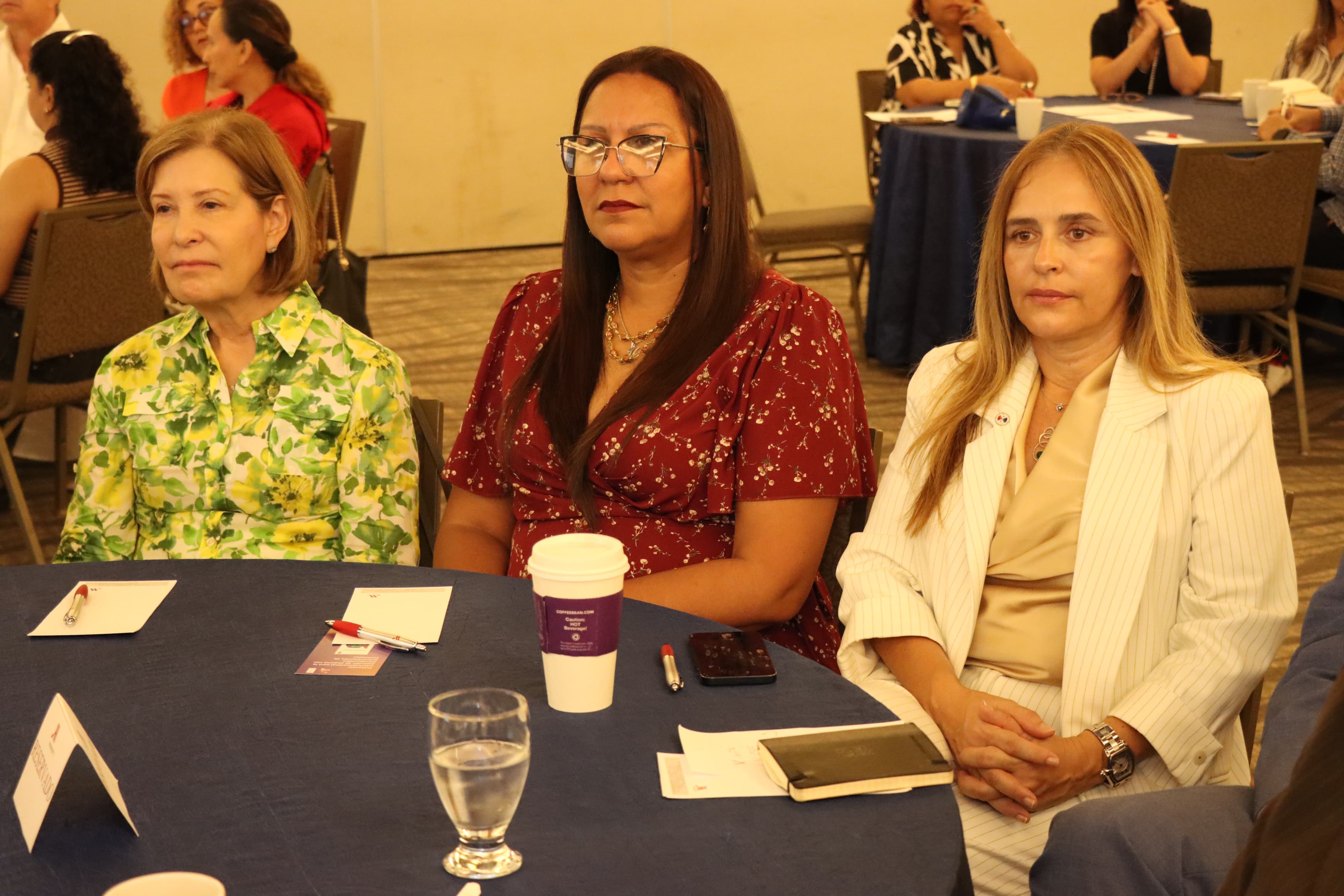 Autoridades del IPHE participaron del lanzamiento "Programa sobre Cuidados No Remunerados, Discapacidad y Enfoque Transformador de Género"