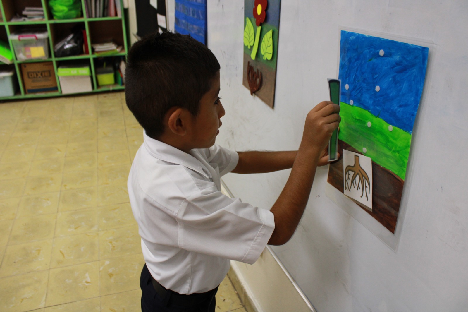 Estudiantes con autismo aprenden las partes de las plantas
