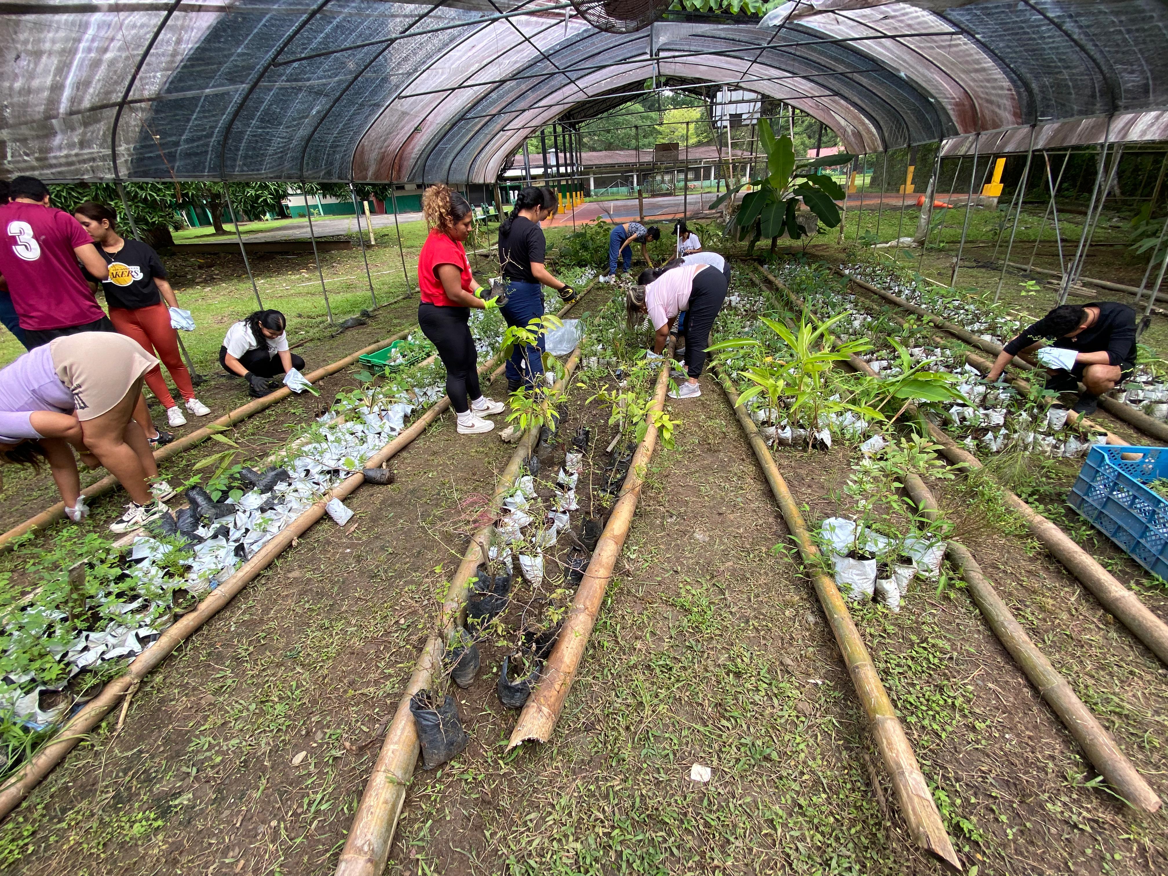 Fundación Colibrí con Estudiantes universitarios apoyan el vivero y mariposario de la EVE del IPHE