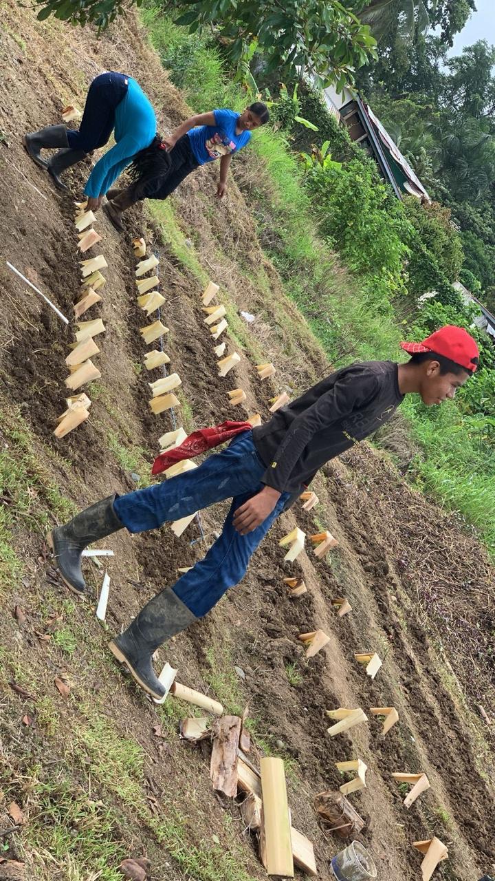 Estudiantes con condiciones de discapacidad cultivan hortalizas en proyecto de granja ecológica