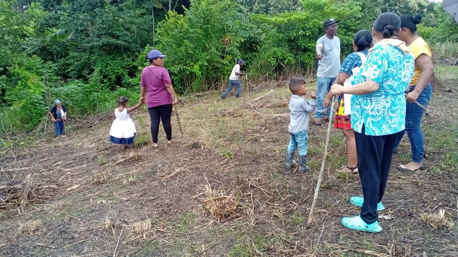 Proyecto agrícola fortalece la autonomía y economía de familias en Darién