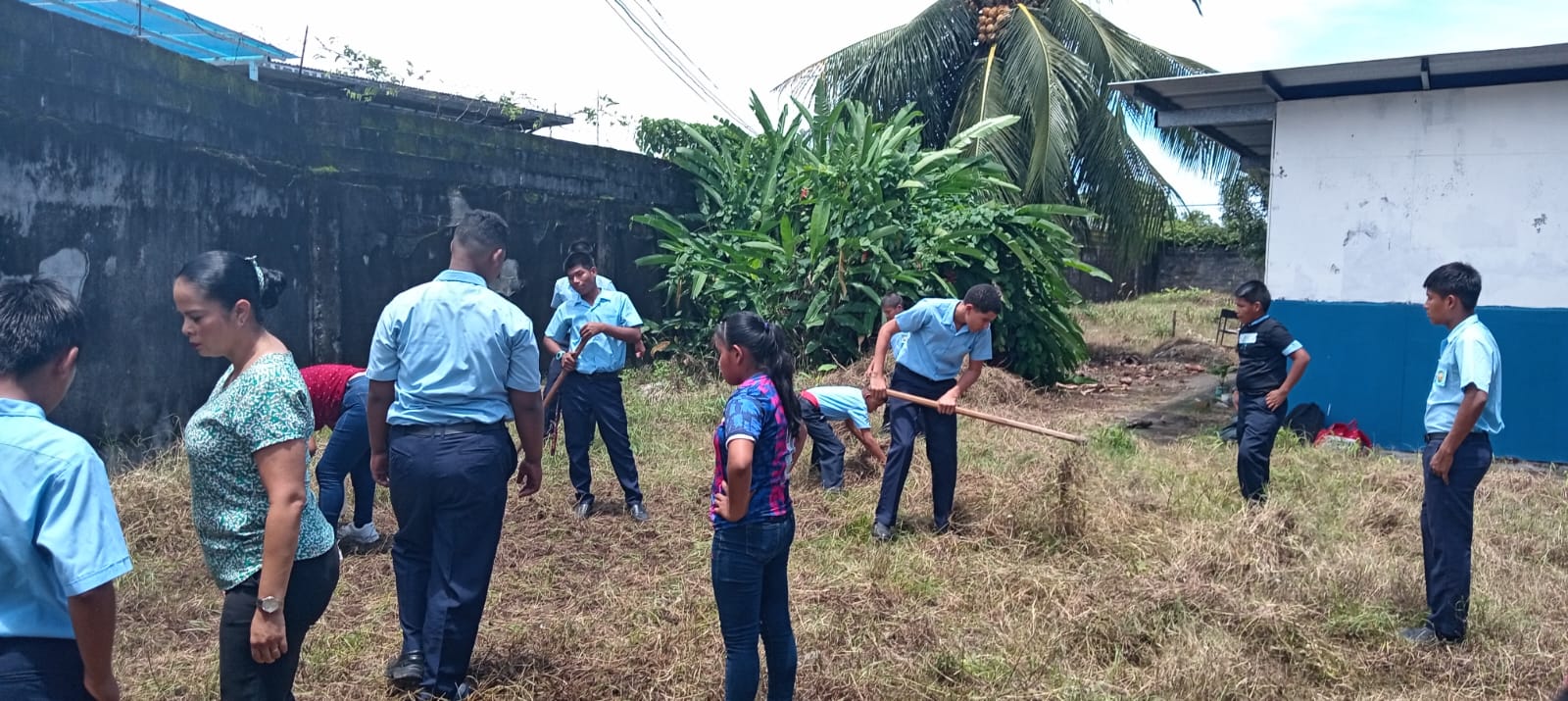 Taller agrícola sobre siembra de hortalizas en Bocas del Toro