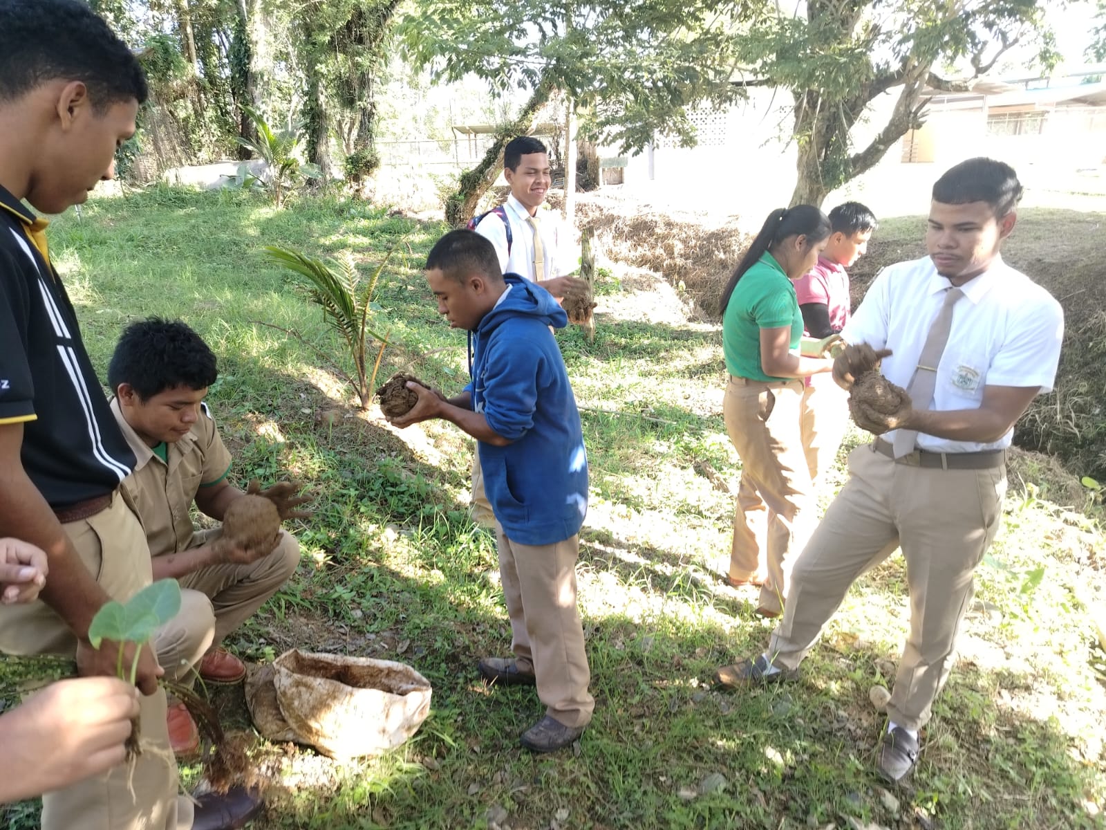 Estudiantes del IPHE en Bocas del Toro aprenden la técnica japonesa del Kokedama.
