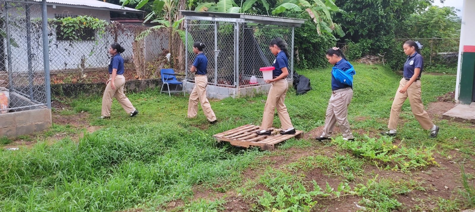 IPHE Panamá Este fortalece la autosostenibilidad con donación de pollitos y gallinas realizada por la Caja de Ahorros