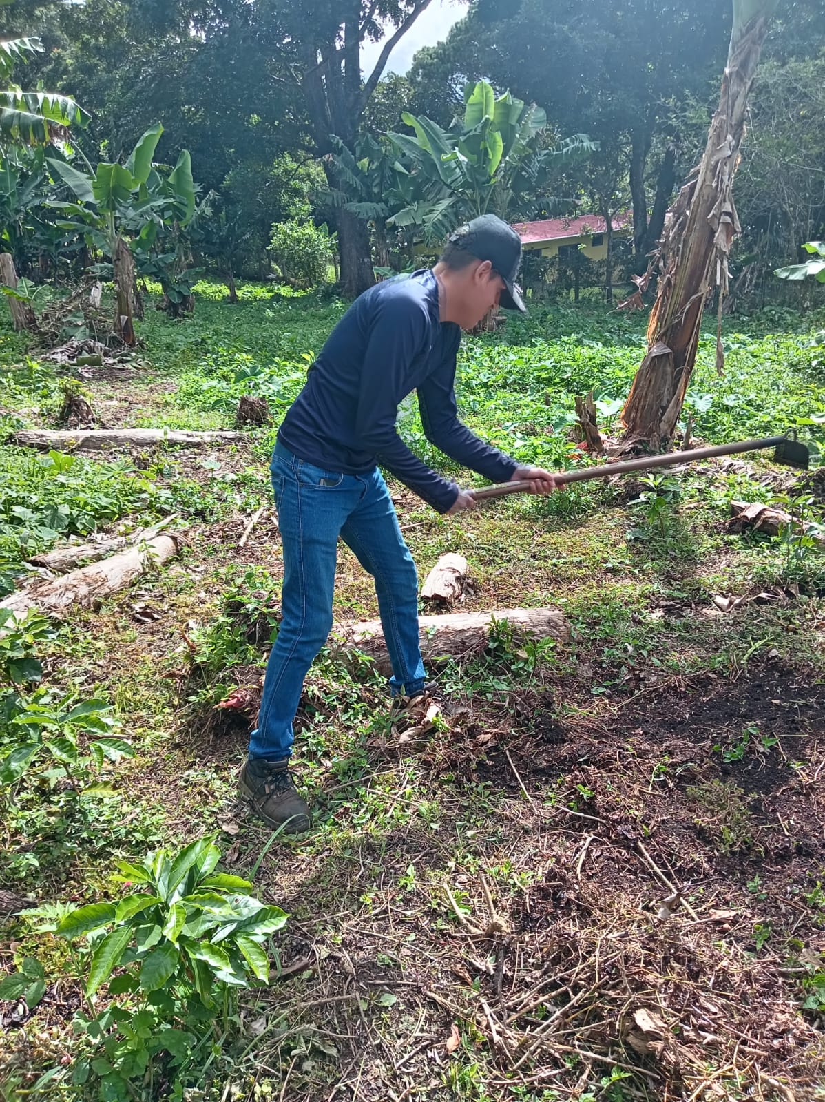 Fortalecen conocimientos en huerto ecológico en estudiantes de Chiriquí