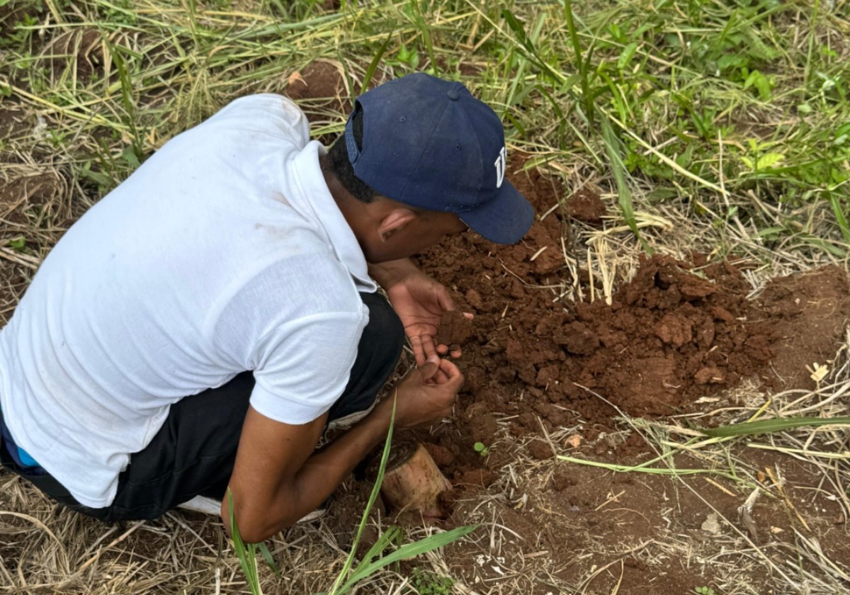 Estudiantes de Darién crean huerto escolar