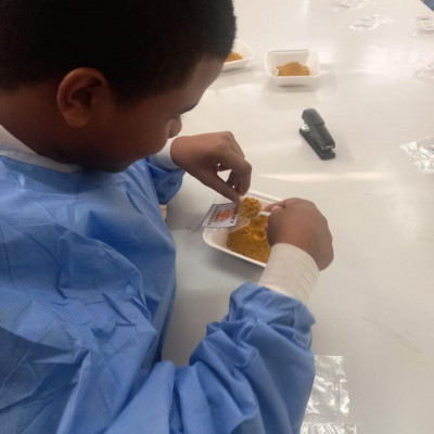 6acd1311-7918-47c8-853e-13953449f5d3-1761162746.jpg