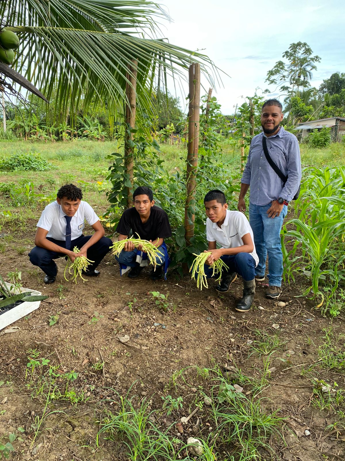 Cosecha educativa en Bocas del Toro promueve la alimentación saludable y el aprendizaje práctico