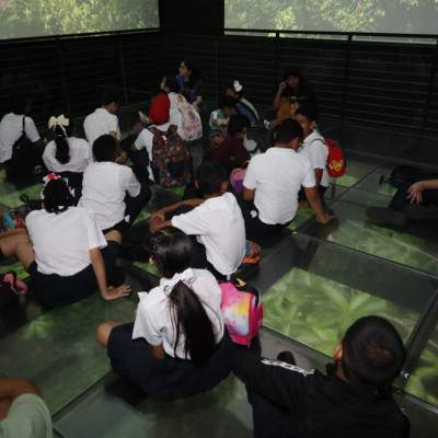 ad38dacb-06ac-436a-aff7-2c0957c7cc06-1763669424.jpg