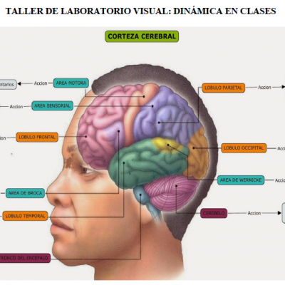 image-5-1770315747.png