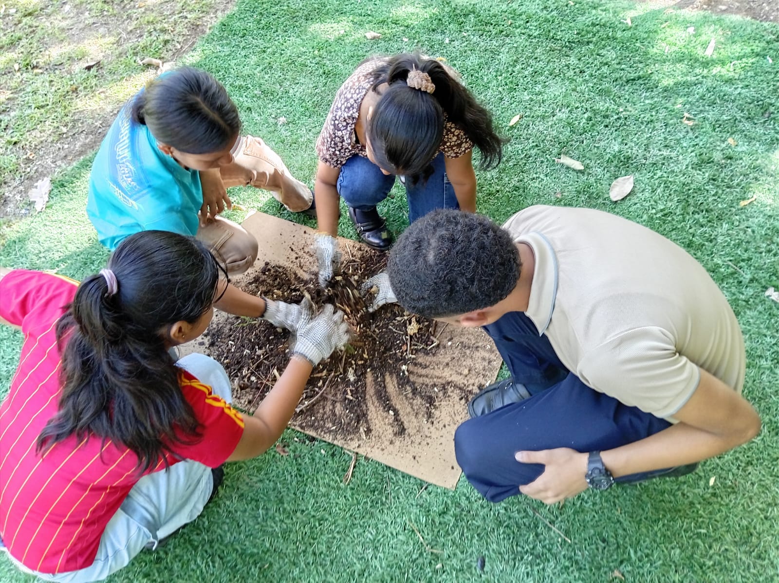 IPHE impulsa el aprendizaje sostenible a través de proyecto de huerto escolar