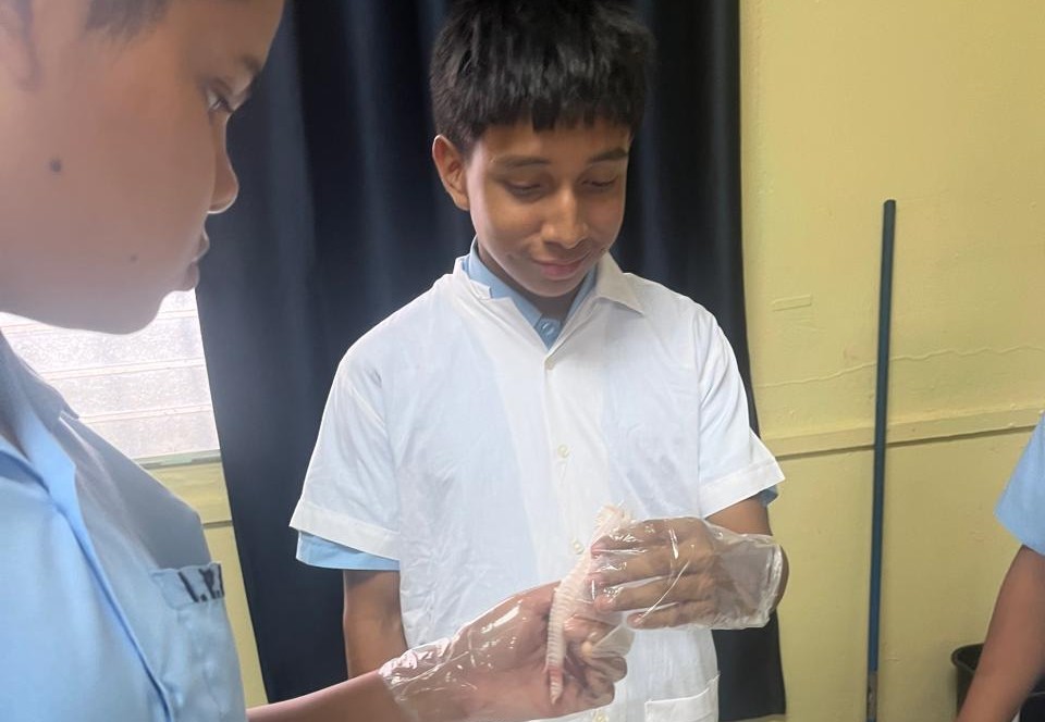 Estudiantes de Antón fortalecen aprendizaje con taller de texturas